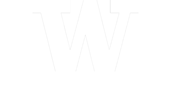 Husky MMA Logo homepage